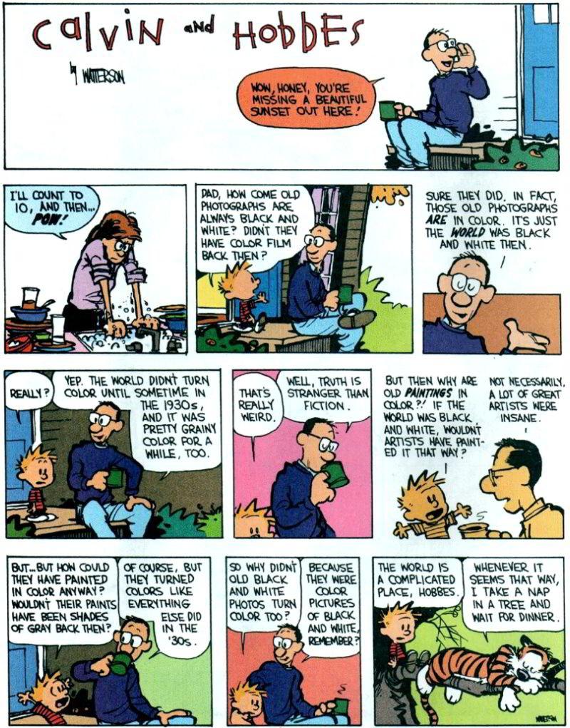 CalvinHobbesCartoon